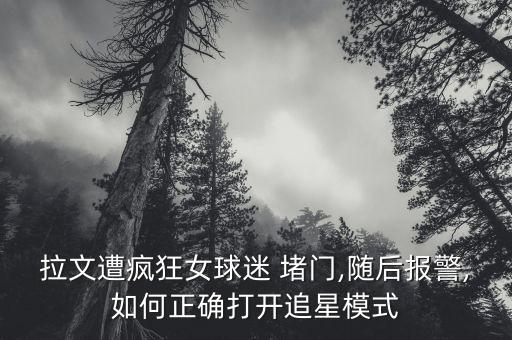 拉文遭瘋狂女球迷 堵門,隨后報警,如何正確打開追星模式