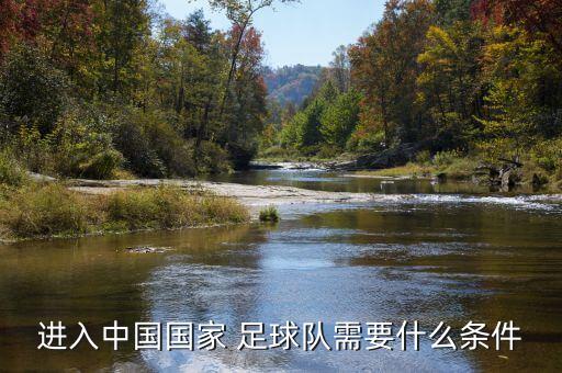 進入中國國家 足球隊需要什么條件