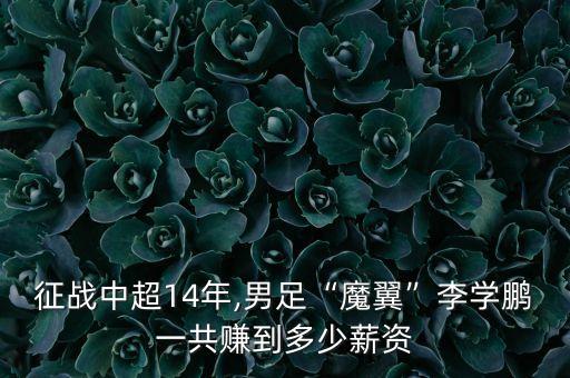 征戰(zhàn)中超14年,男足“魔翼”李學(xué)鵬一共賺到多少薪資