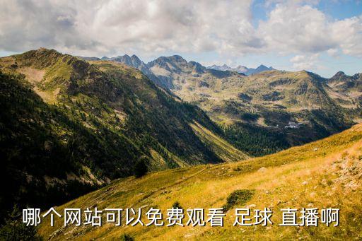 哪個網(wǎng)站可以免費觀看 足球 直播啊