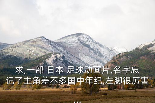 求,一部 日本 足球動(dòng)畫片,名字忘記了主角差不多國(guó)中年紀(jì),左腳很厲害...