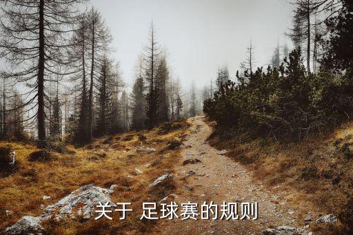 關(guān)于 足球賽的規(guī)則