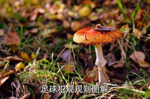 足球犯規(guī)規(guī)則圖解