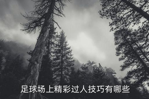  足球場上精彩過人技巧有哪些