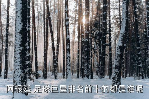 48號足球運動員都有誰,二十二號足球運動員