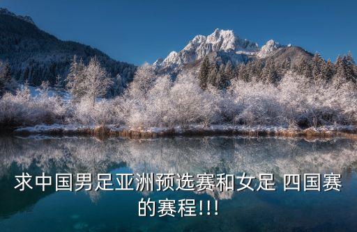 2016南寧四國足球