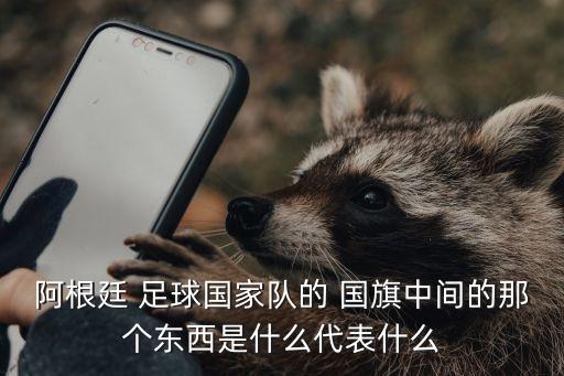 阿根廷 足球國家隊的 國旗中間的那個東西是什么代表什么