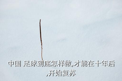 中國(guó)足球產(chǎn)業(yè)政策