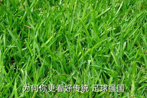 為何你更看好傳統(tǒng) 足球強國