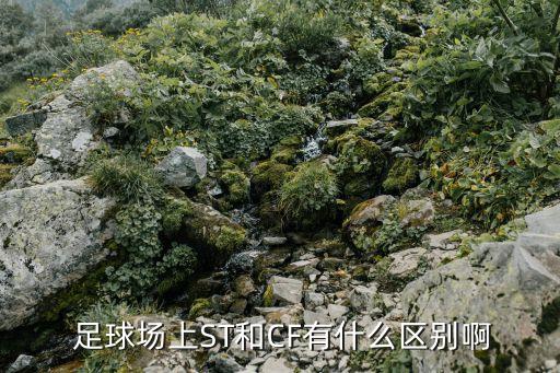  足球場上ST和CF有什么區(qū)別啊