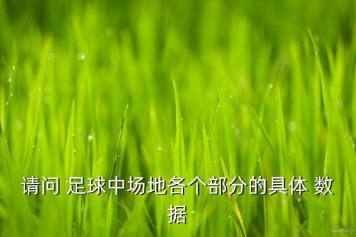 請問 足球中場地各個部分的具體 數(shù)據(jù)