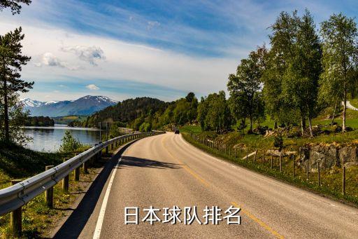  日本球隊排名