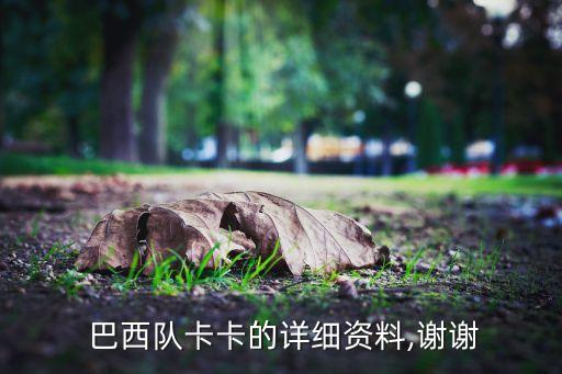  巴西隊卡卡的詳細資料,謝謝
