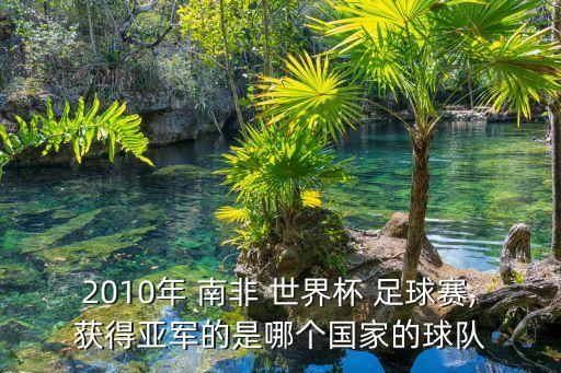 2010年 南非 世界杯 足球賽,獲得亞軍的是哪個(gè)國(guó)家的球隊(duì)