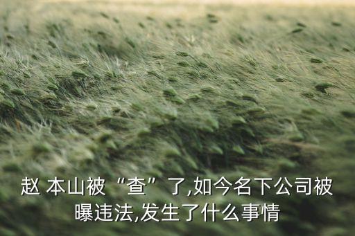 趙 本山被“查”了,如今名下公司被曝違法,發(fā)生了什么事情