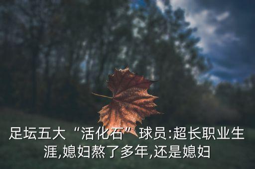 足球中國養(yǎng)老,足球養(yǎng)老聯(lián)賽