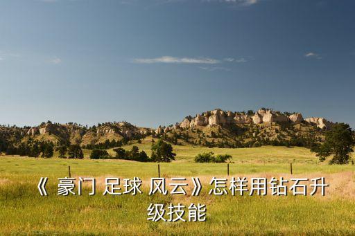 《 豪門 足球 風云》怎樣用鉆石升級技能