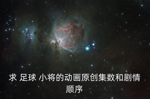 足球小將歐洲杯52集全