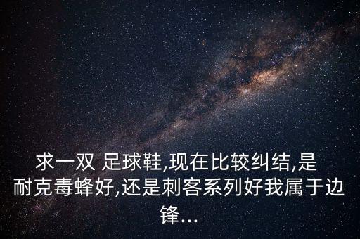 求一雙 足球鞋,現(xiàn)在比較糾結(jié),是 耐克毒蜂好,還是刺客系列好我屬于邊鋒...