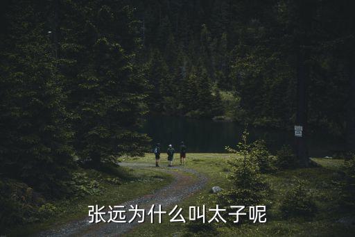 張遠(yuǎn)為什么叫太子呢