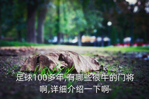 歷史上最牛足球守門員