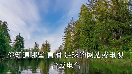 你知道哪些 直播 足球的網(wǎng)站或電視臺(tái)或電臺(tái)