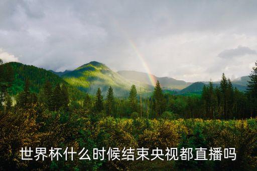 點播巴西與比利時足球賽