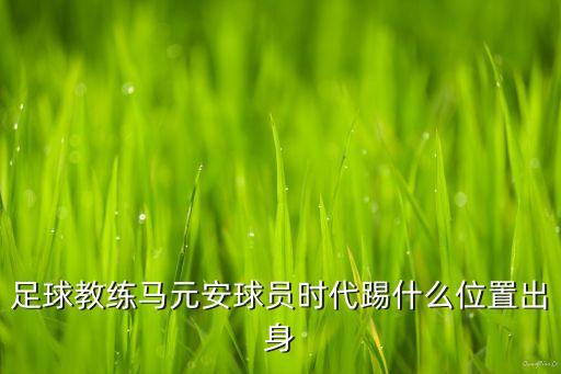 馬來西亞足球隊(duì)球衣,紅色球衣的足球隊(duì)