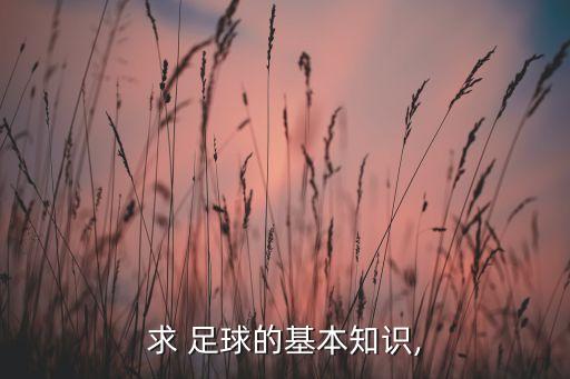 全攻全守和攻勢足球,荷蘭全攻全守足球的鼻祖