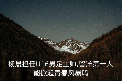 中國足球2006年齡段優(yōu)秀球員