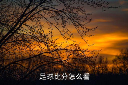  足球比分怎么看