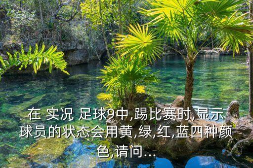 在 實況 足球9中,踢比賽時,顯示球員的狀態(tài)會用黃,綠,紅,藍四種顏色,請問...
