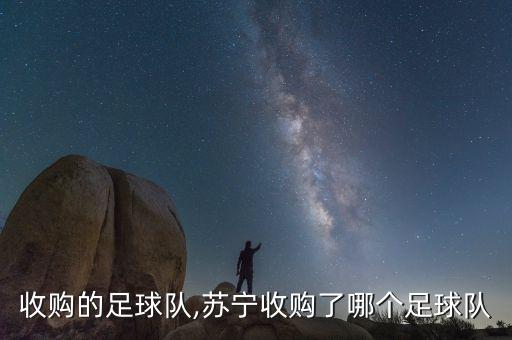 中國收購的足球隊(duì),蘇寧收購了哪個足球隊(duì)