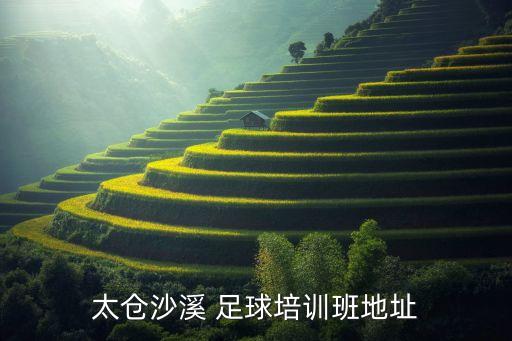 太倉沙溪 足球培訓(xùn)班地址