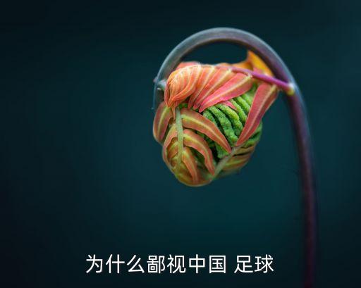 為什么鄙視中國(guó) 足球