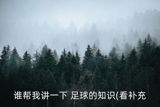 誰幫我講一下 足球的知識(看補充