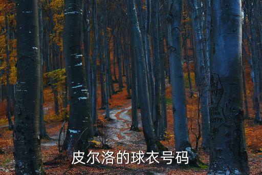 21號足球球員是誰,77號足球球員