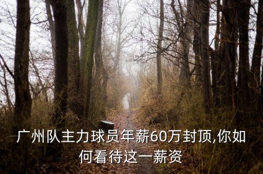建業(yè)足球隊員年工資