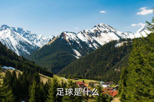  足球是什么
