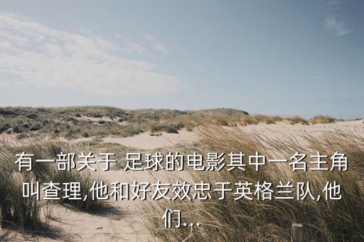 外國足球葬禮,外國葬禮用什么花