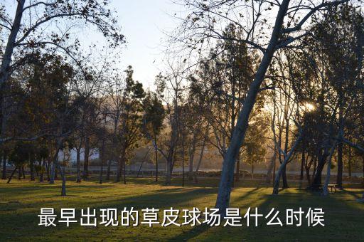 最早出現(xiàn)的草皮球場(chǎng)是什么時(shí)候