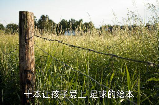 足球解密 書,關(guān)于足球的書
