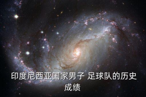  印度尼西亞國家男子 足球隊的歷史成績