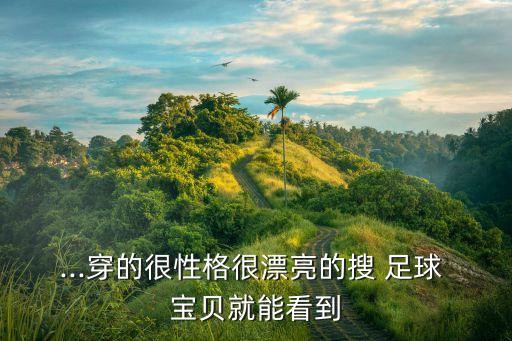 足球?qū)氊?性感寫真