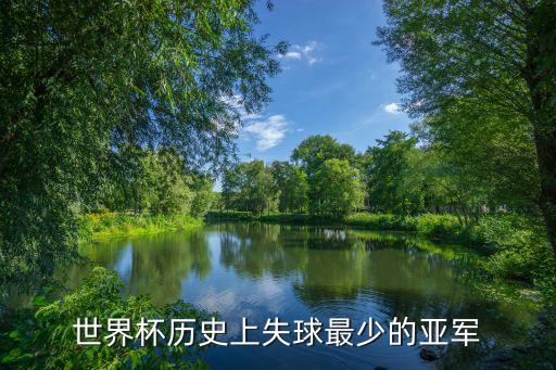 世界杯歷史上失球最少的亞軍