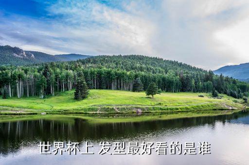 世界杯上 發(fā)型最好看的是誰