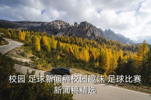 足球如何點(diǎn)亮夢(mèng)想,足球點(diǎn)亮夢(mèng)想綠茵放飛希望演講稿