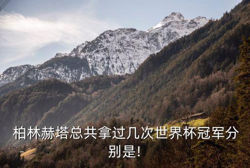 柏林赫塔總共拿過(guò)幾次世界杯冠軍分別是!