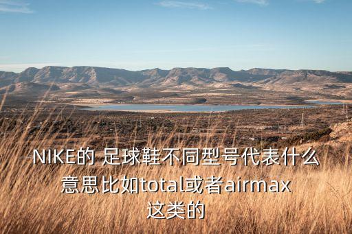 NIKE的 足球鞋不同型號代表什么意思比如total或者airmax這類的