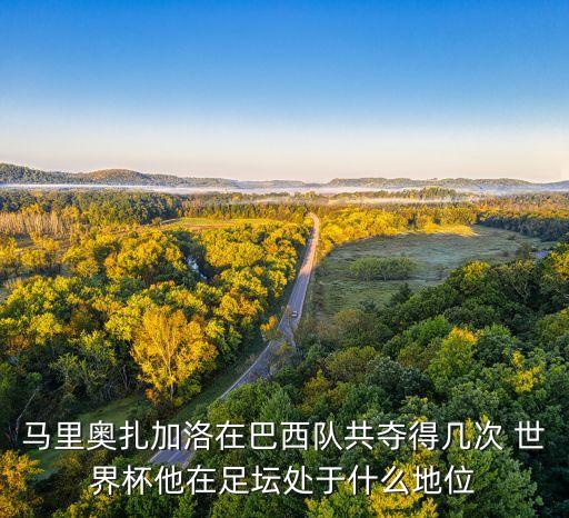 馬里奧扎加洛在巴西隊共奪得幾次 世界杯他在足壇處于什么地位